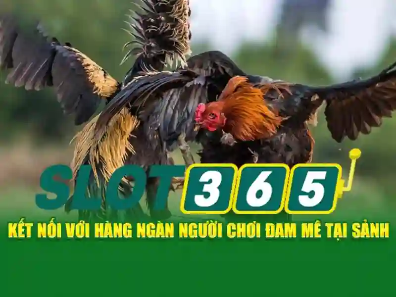 Slot365: Khám phá thế giới trò chơi máy slot trực tuyến ngày nay