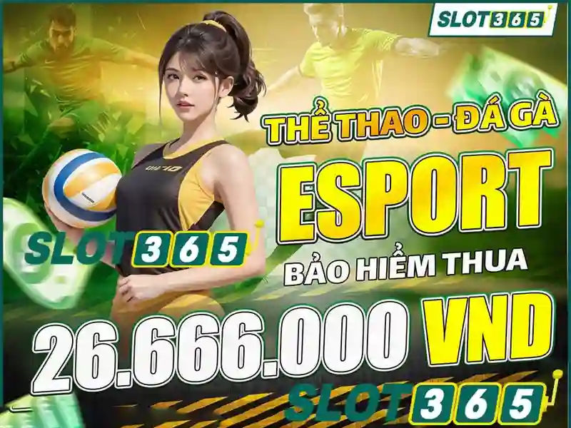 Slot365 là sàn chơi slot trực tuyến uy tín