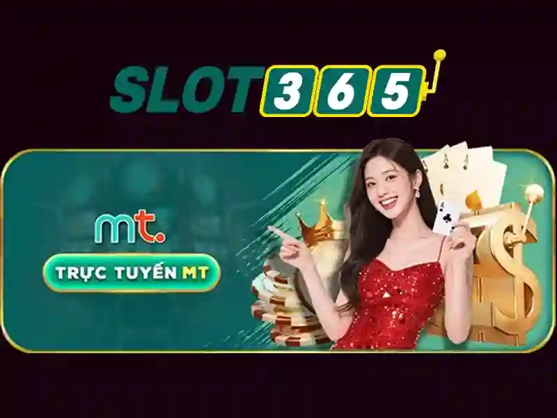 Các sản phẩm và dịch vụ cốt lõi: Ứng dụng thực tế của Slot365 có hợp pháp không