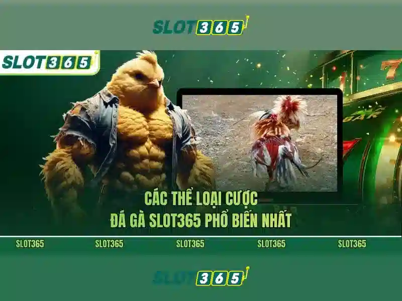 Slot365 - Đánh giá và hướng dẫn chơi máy xèng trực tuyến