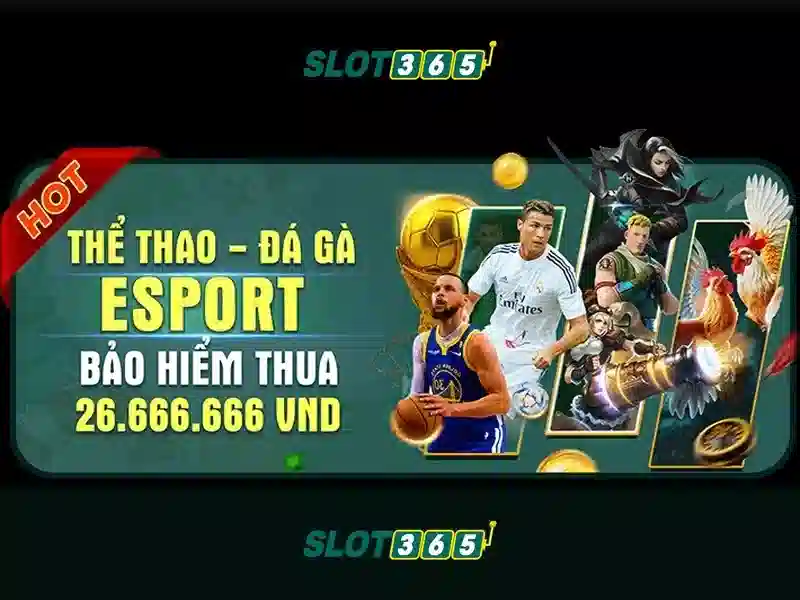 Slot365 là gì? Nền tảng slot trực tuyến nổi bật
