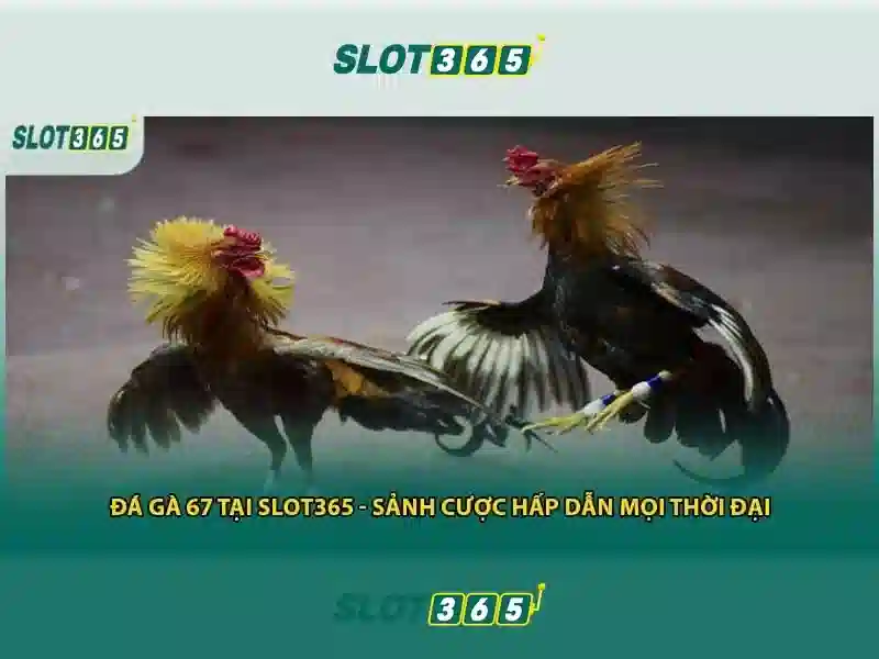 slot365 tại: Khám phá nền tảng Slot365 và trải nghiệm