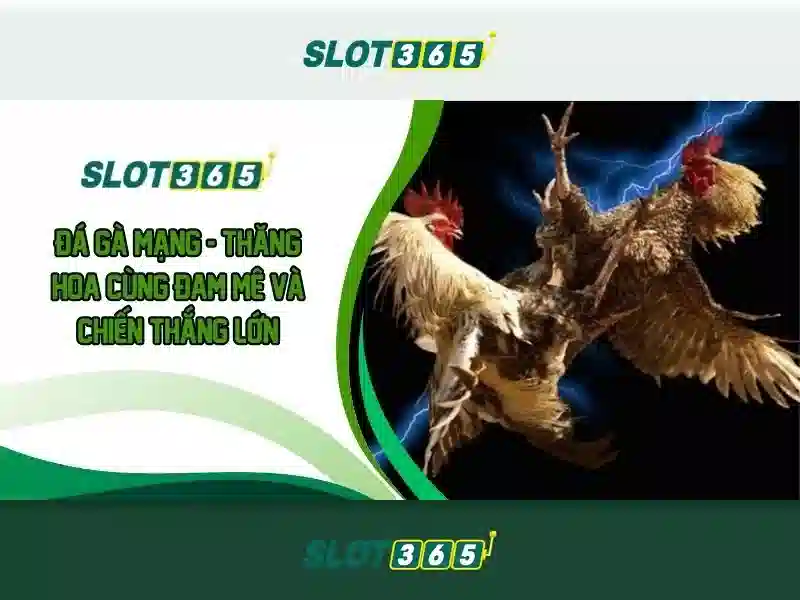 Tóm lại và lời mời trải nghiệm