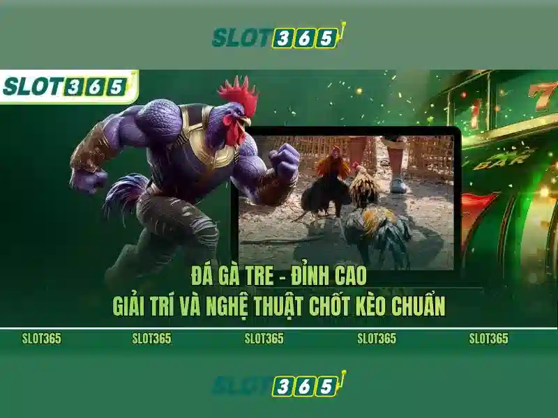 Ảnh tổng quan slot365 sẽ xuất hiện tại đây