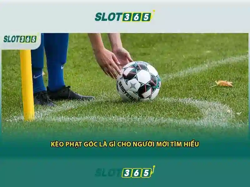 tải Slot365 – Trải nghiệm đỉnh cao với Slot365 chính thức