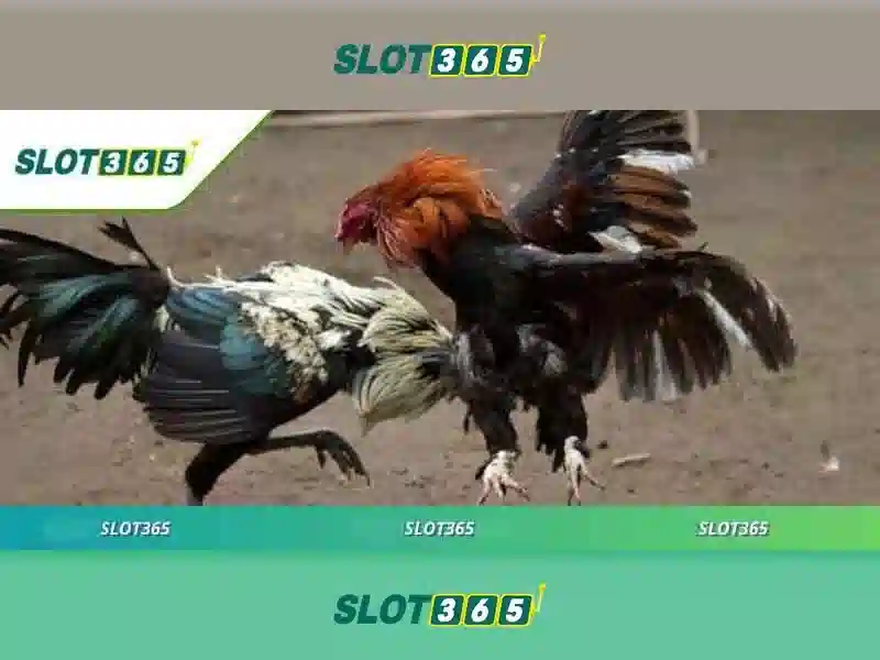Slot365: Cổng slot trực tuyến đáng tin cậy cho người chơi Việt