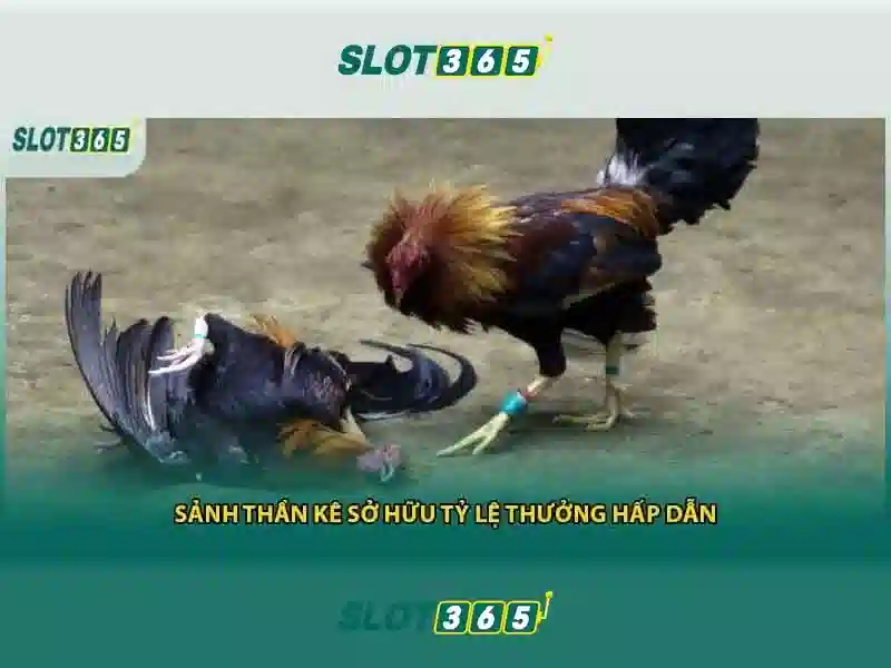 Slot365: Trải nghiệm trò chơi slot trực tuyến đỉnh cao