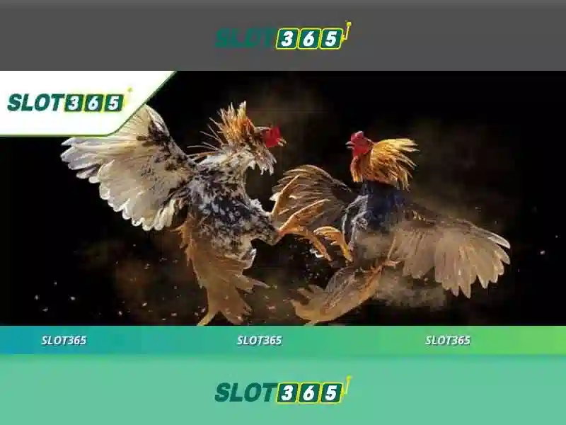 Định hướng tương lai của Slot365