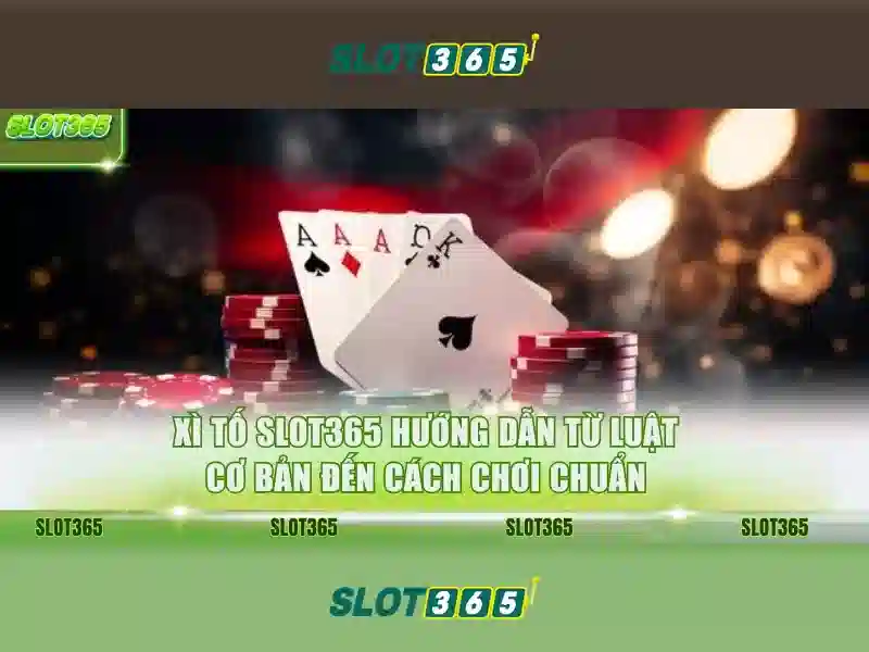 Slot365 - Tổng quan về nền tảng trò chơi xèng trực tuyến