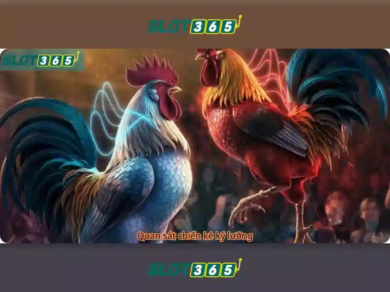 Tại sao chọn Slot365 cho trải nghiệm giải trí trực tuyến