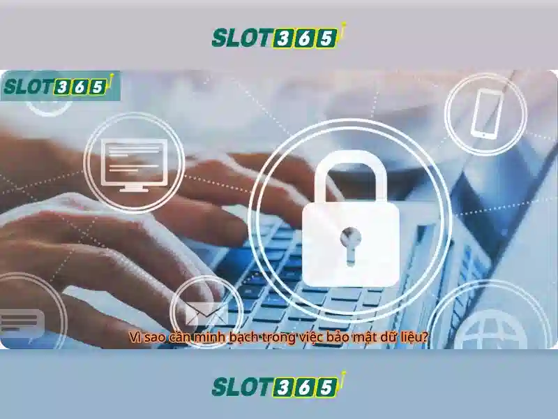 Slot365: Khám phá thế giới trò chơi máy slot trực tuyến ngày nay