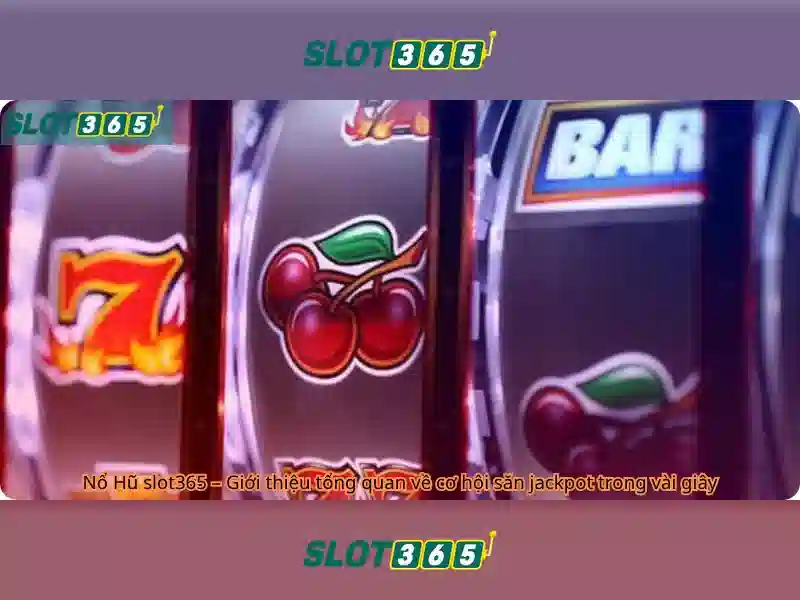 Slot365 - Trải nghiệm cách chơi slot online đỉnh cao