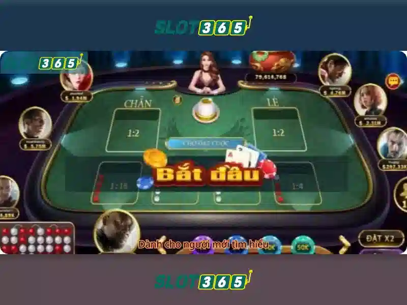 Trải nghiệm người dùng tại Slot365