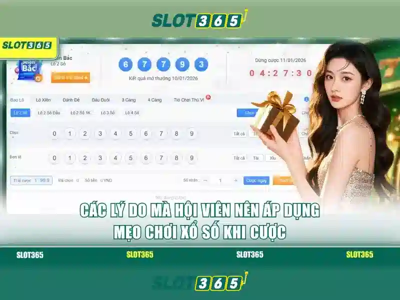 Slot365: Nền tảng trò chơi slot trực tuyến uy tín