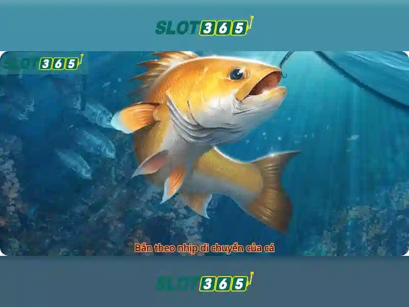 slot365 rtp – tổng quan chủ đề và giá trị cốt lõi