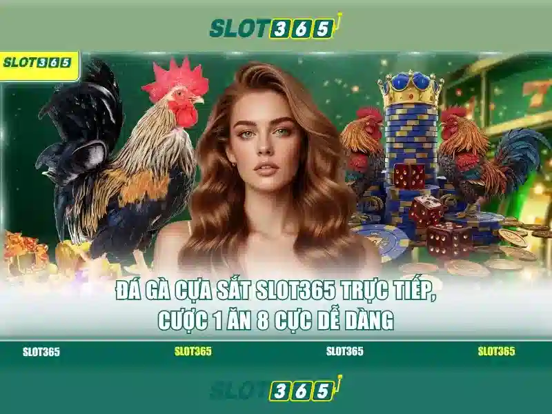 Slot365: Đánh giá nền tảng chơi slot trực tuyến uy tín