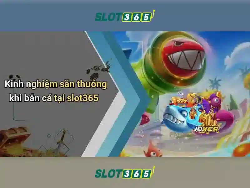 Slot365 - Tổng quan về nền tảng cá cược trực tuyến