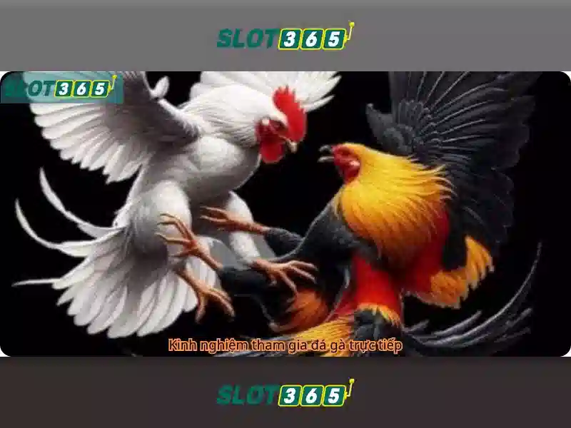 Trải nghiệm slots đa dạng và an toàn