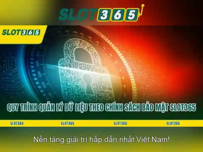 Khuyến mãi, thanh toán và hỗ trợ khách hàng