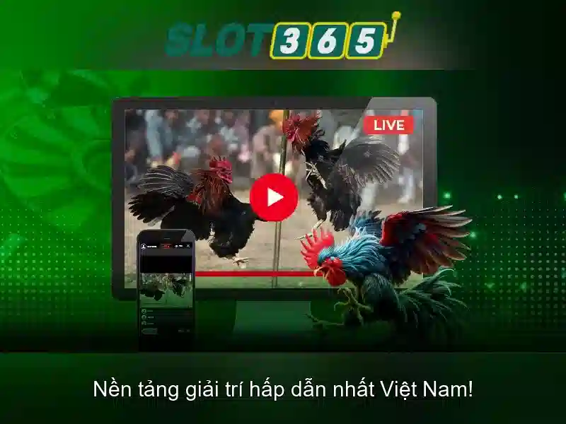 Tại sao Slot365 được ưa chuộng?