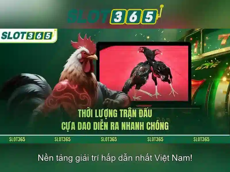 Slot365 - Nền tảng chơi slot uy tín