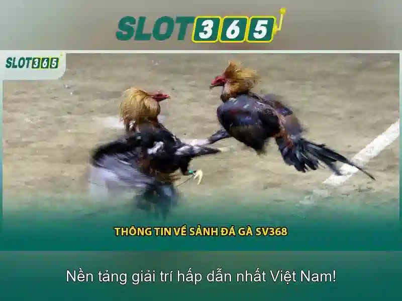 <!--IMG_PLACEHOLDER alt=Tại sao nên chọn Slot365?--