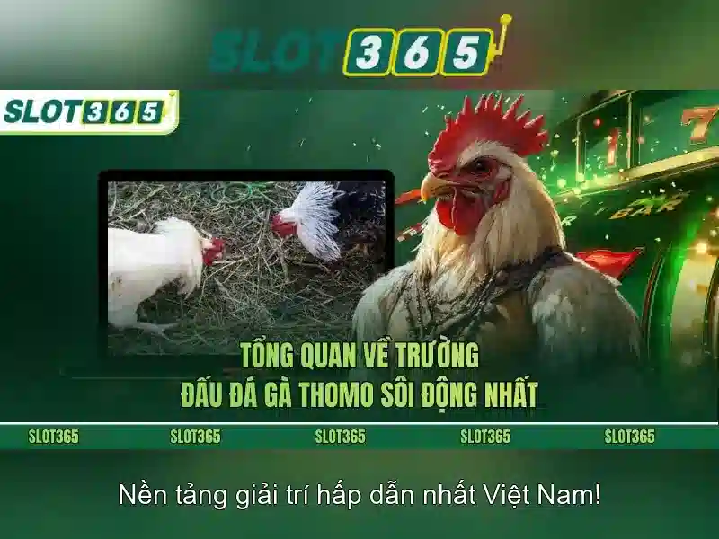 slot365 link – Trải nghiệm đỉnh cao cùng Slot365