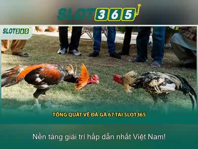 Slot365: Đánh giá nền tảng casino trực tuyến