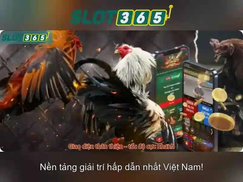 An toàn và phương thức thanh toán