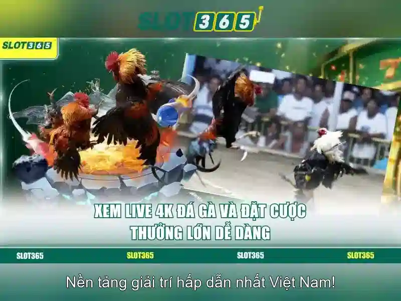Slot365: Trải nghiệm casino trực tuyến an toàn và phong phú