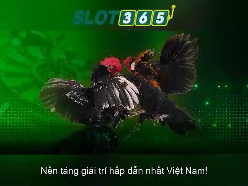 Slot365 - Trải nghiệm slot tuyệt vời
