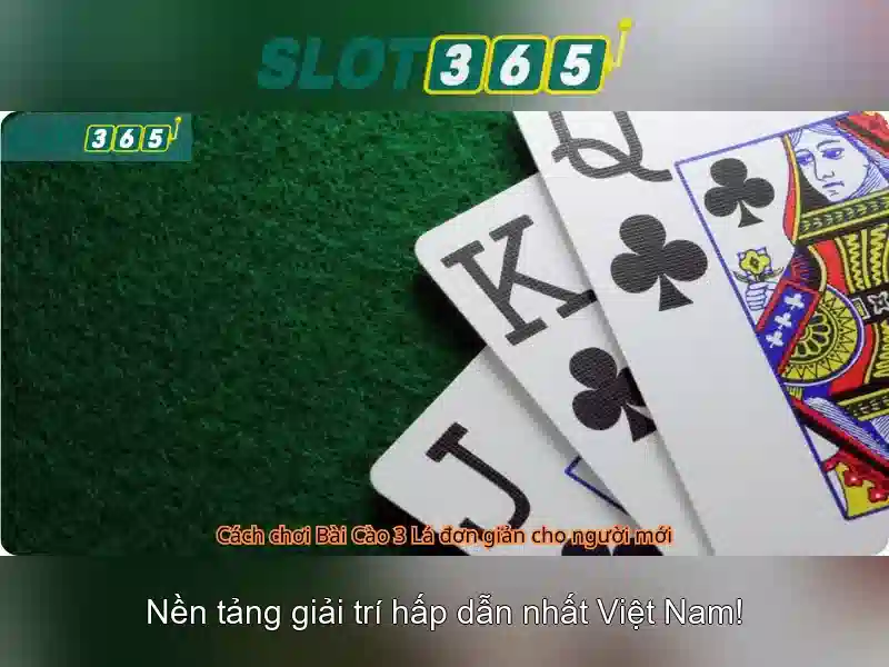 Slot365 là gì?