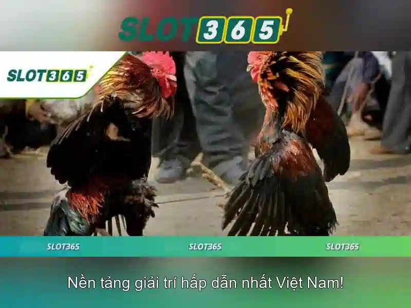 Slot365: Sân chơi slot trực tuyến hàng đầu