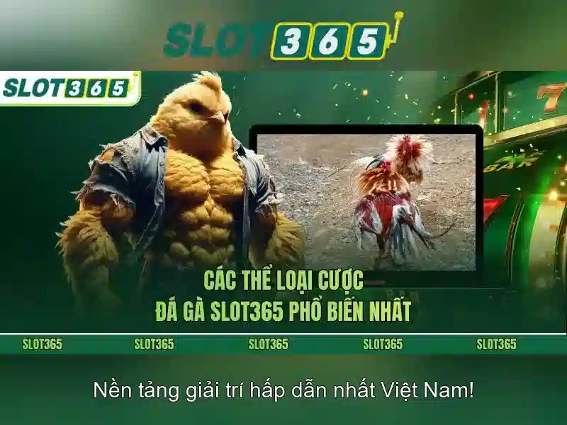 Slot365 là gì?