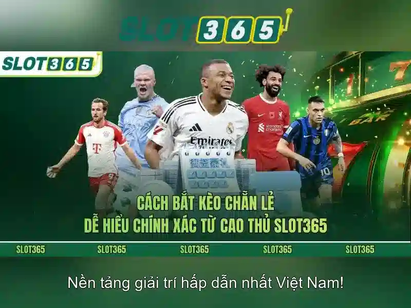 Slot365 – Tổng quan về nền tảng máy đánh bạc trực tuyến