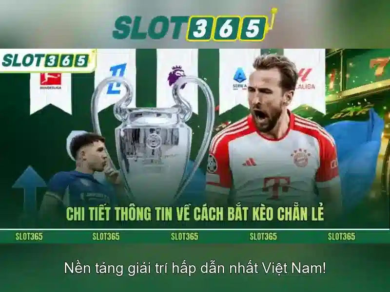Cách tham gia và hỗ trợ người dùng