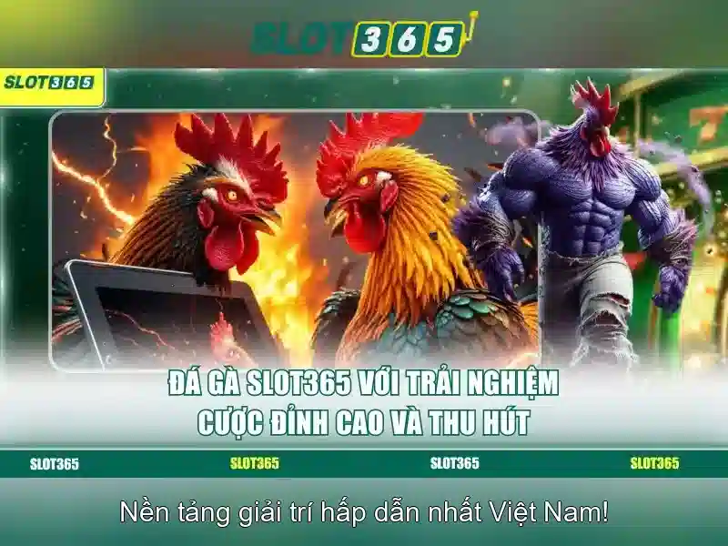 Slot365: Nền tảng casino trực tuyến hiện đại