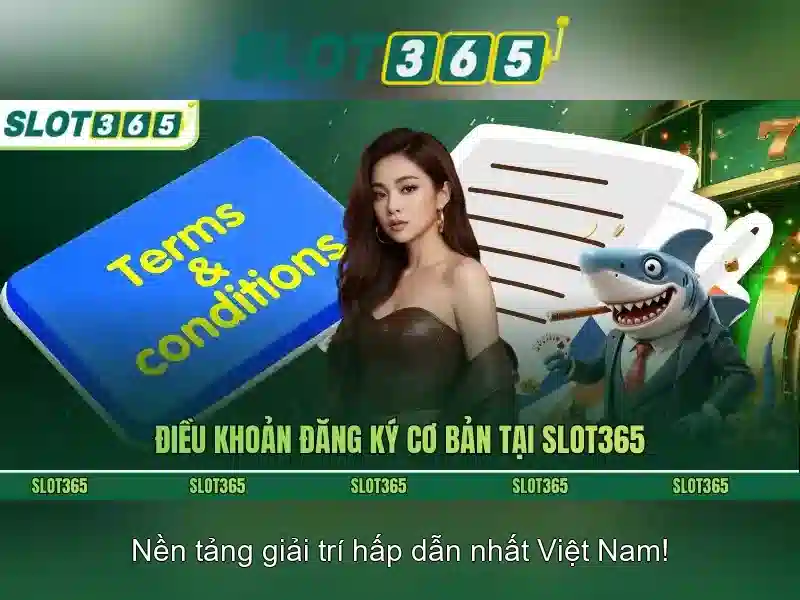 Slot365 - Tổng quan về nền tảng cá cược trực tuyến