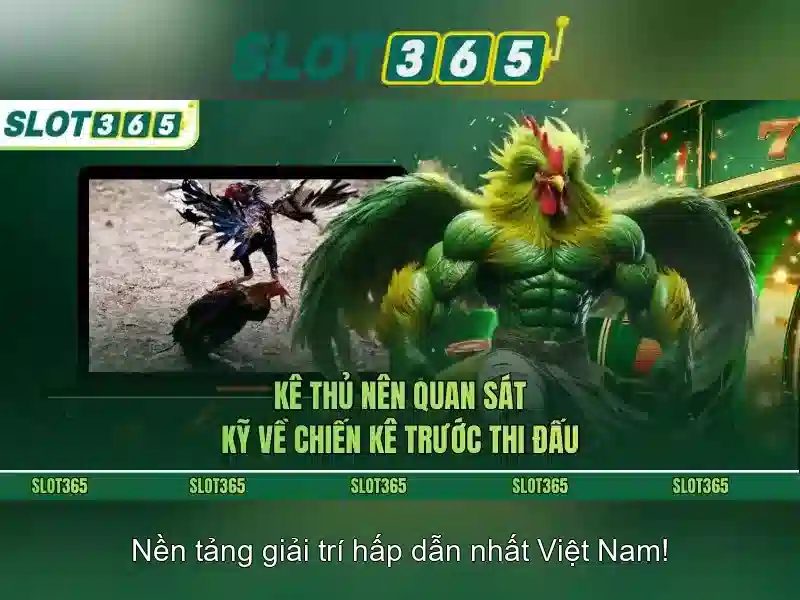 Slot365 – Đánh giá nền tảng chơi slot trực tuyến tại Việt Nam
