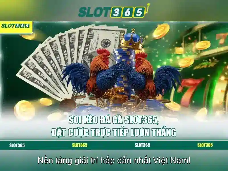 Slot365 là nền tảng chơi slot trực tuyến phổ biến