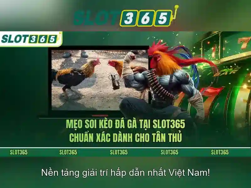 slot365 là nền tảng chơi slot trực tuyến an toàn