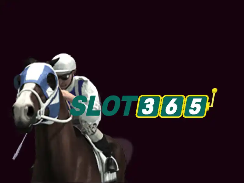 Trai nghiem nguoi dung va phan hoi cong dong