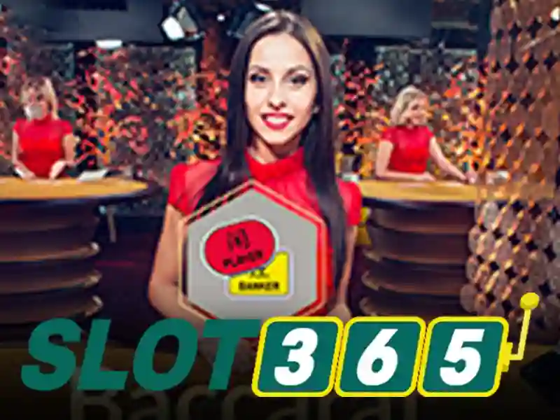 Slot365: Nền tảng slot hàng đầu cho trải nghiệm casino trực tuyến