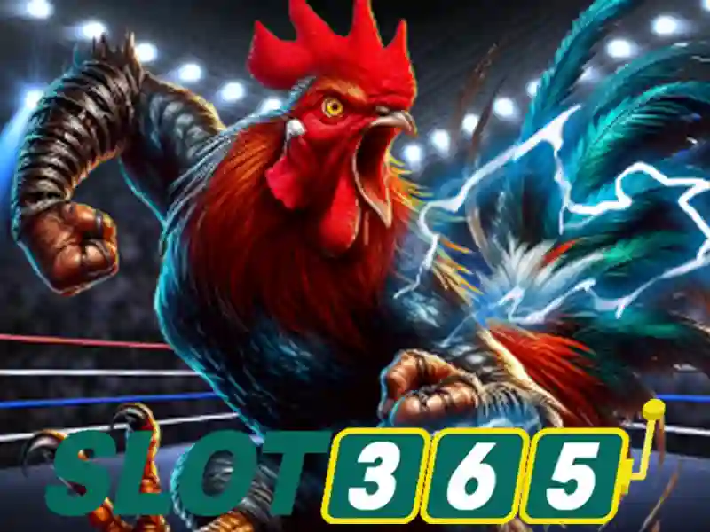 Slot365: Tổng quan về nền tảng máy xèng trực tuyến