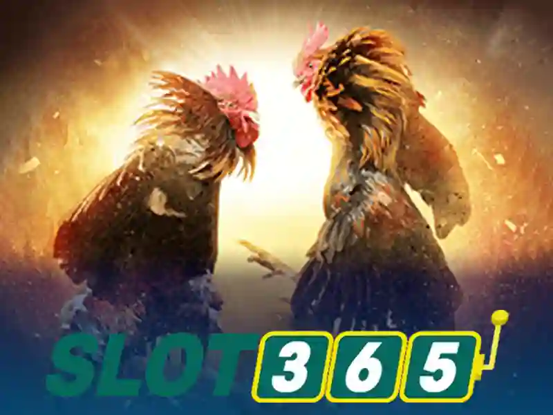 Slot365: trải nghiệm máy xèng trực tuyến đỉnh cao