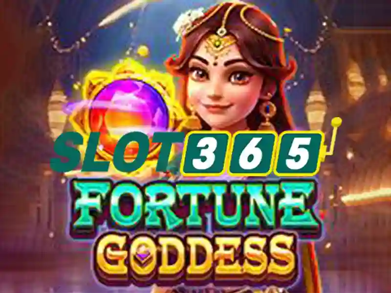 Slot365 - Tổng quan về nền tảng máy đánh bạc trực tuyến