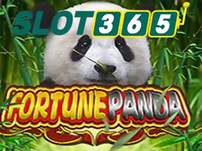 Slot365: Nền tảng chơi slot trực tuyến hàng đầu tại Việt Nam
