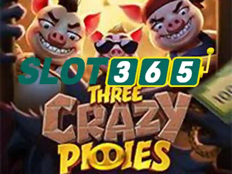 Slot365: Giới thiệu về nền tảng slot trực tuyến